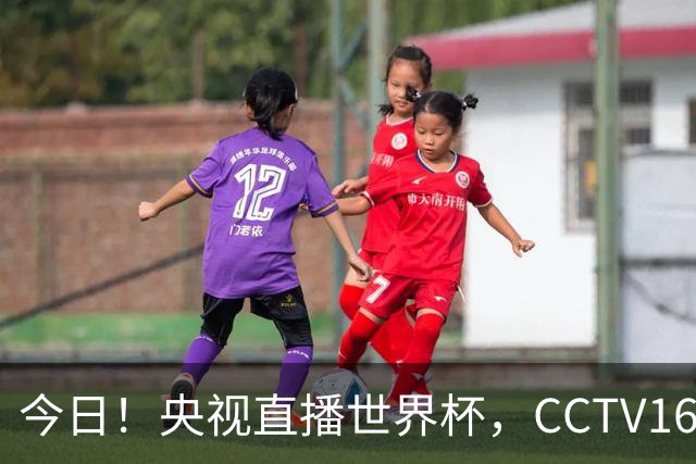 今日！央视直播世界杯，CCTV16转中超，网络转大连鲲城+可为+U17中国男篮+F1等