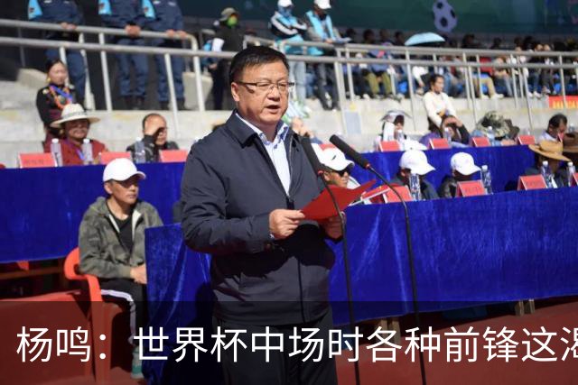 杨鸣：世界杯中场时各种前锋这渴了那饿了全来了 谁能记住后卫呢